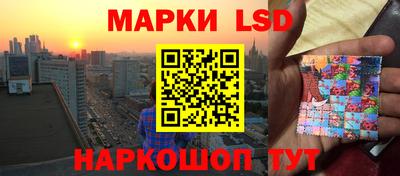 прущие грибы Железногорск