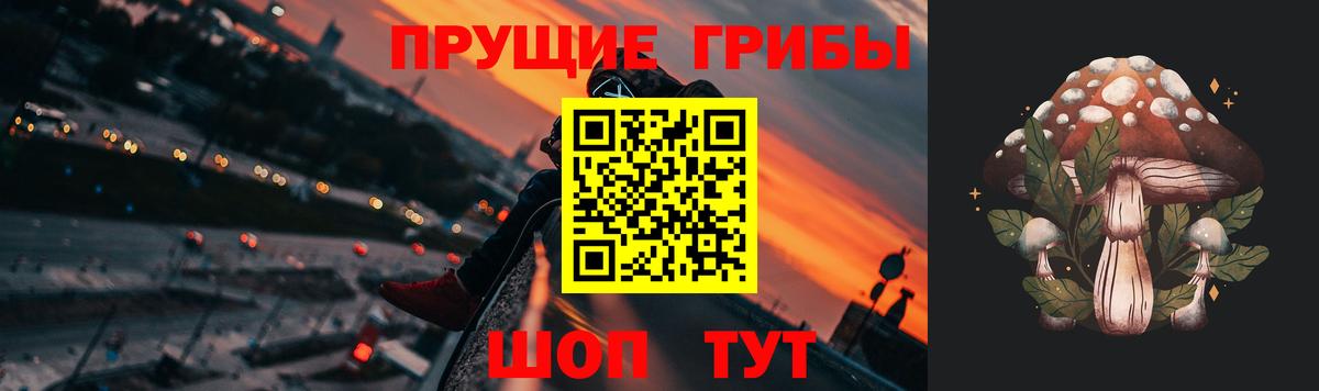 Псилоцибиновые грибы MAGIC MUSHROOMS  Галлюциногенные грибы Magic Shrooms  Нижний Новгород  Вход с VPN 